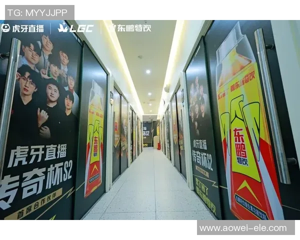 电竞比分深度对话赵丽探寻她的英雄联盟成长与奋斗历程 电竞比分深度对话赵丽探寻她的英雄联盟成长与奋斗历程